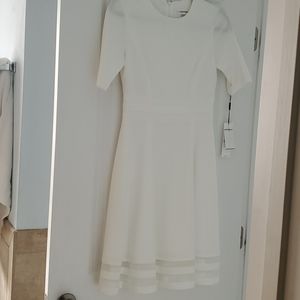 Calvin Klein Dress